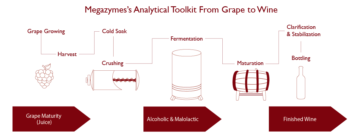 ブドウからワインに至るまでの分析ツール