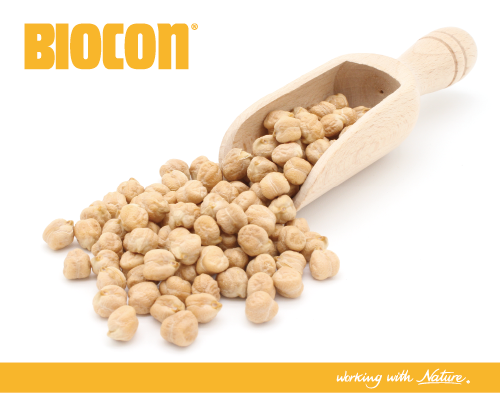 ひよこ豆-プロテイン