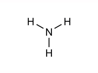 Megazyme® アンモニア標準液（0.1 g/L） AS-AMIA