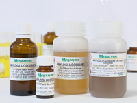 Megazyme® アミログルコシダーゼ （Aspergillus niger 由来） E-AMGDF-100ML