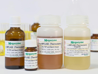 Megazyme® α-アミラーゼ（Bacillus licheniformis 由来） E-BLAAM-100ML